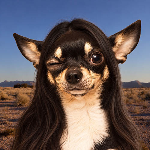 smiling girl with long black hair and black top